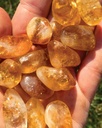 سوار السيترين – طاقة الشمس بين يديك